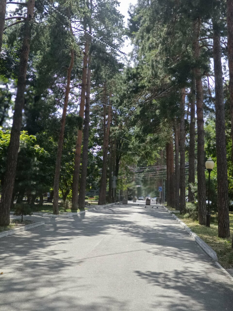 Гостиница Прованс Горячий Ключ-214