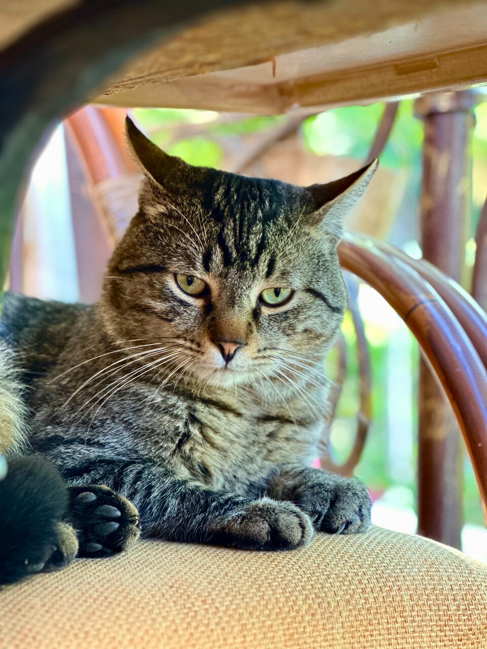 Гостиница Прованс Горячий Ключ