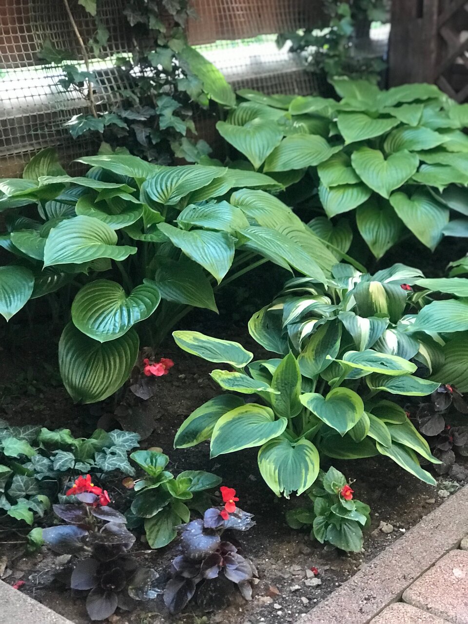 Гостиница Прованс Горячий Ключ-168