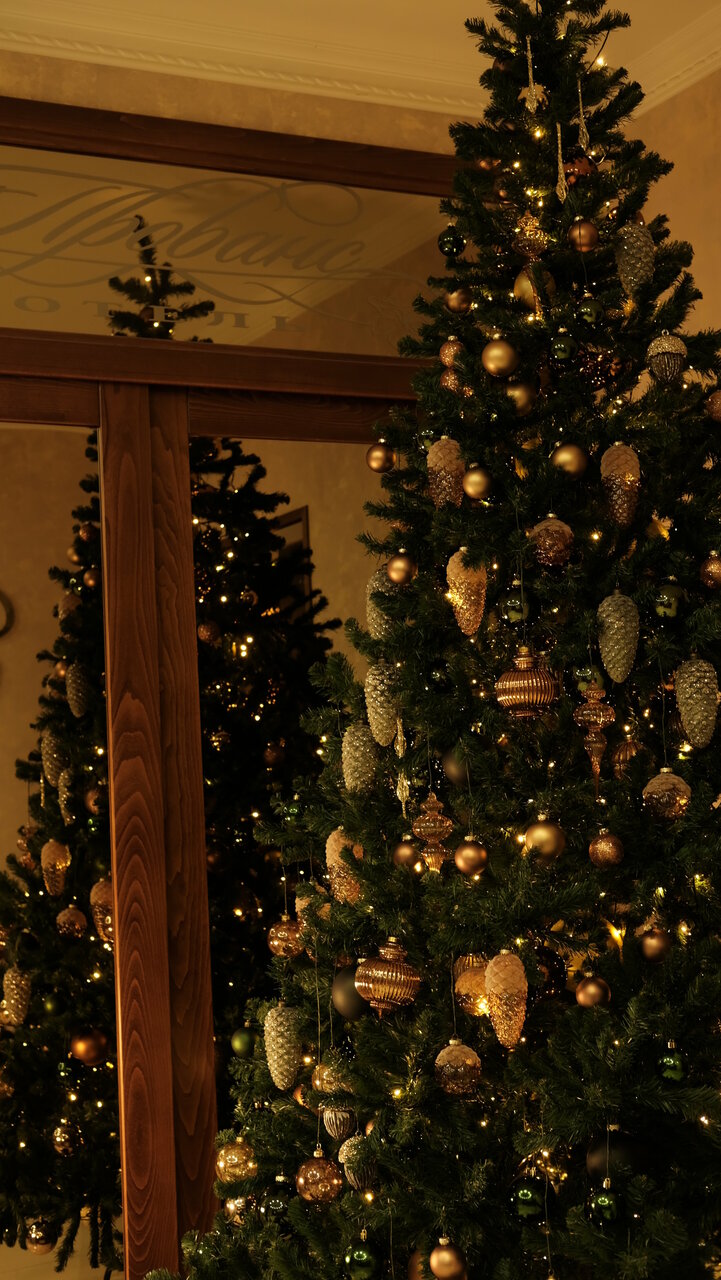 Гостиница Прованс Горячий Ключ-100