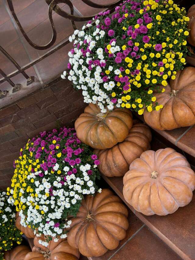 Гостиница Прованс Горячий Ключ-8